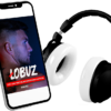 Headphones